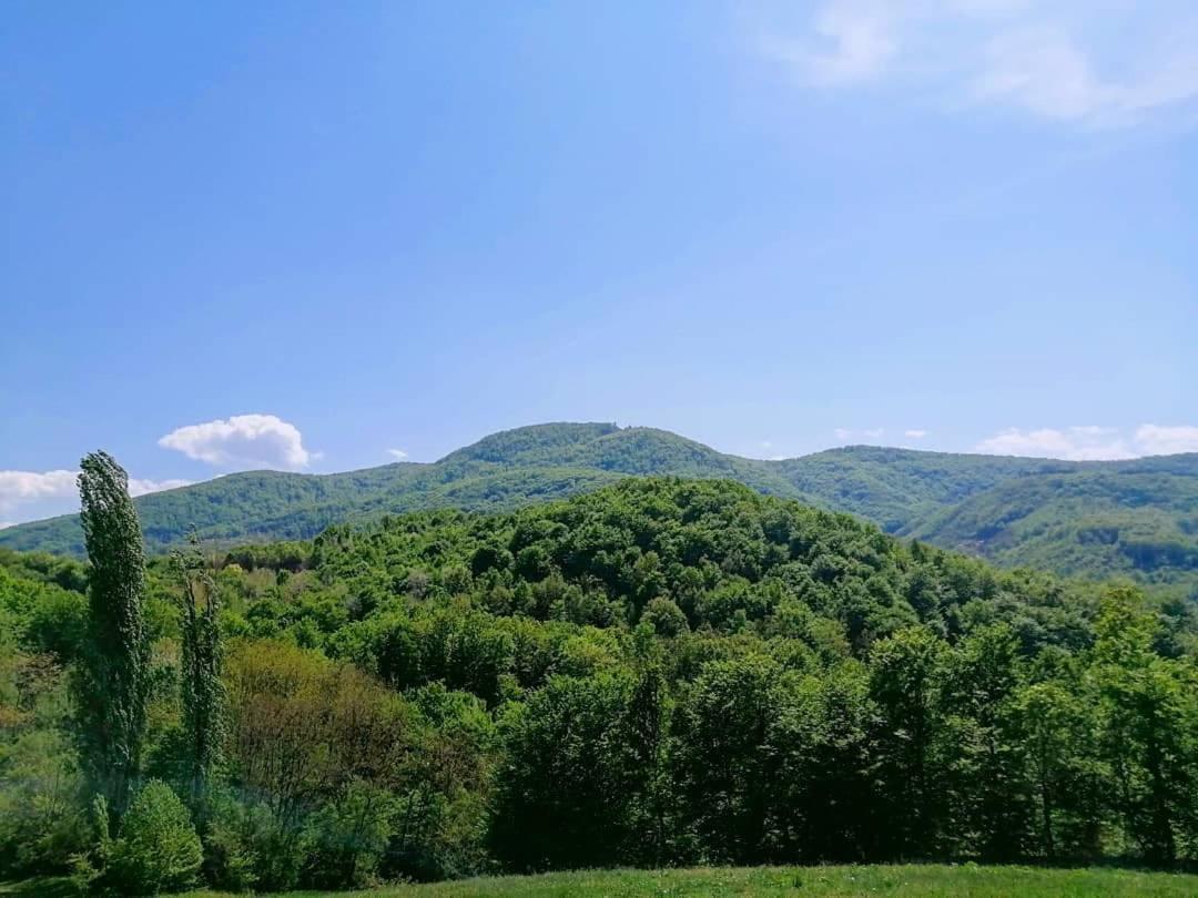 Apartman Lavanda Banja Koviljača Extérieur photo